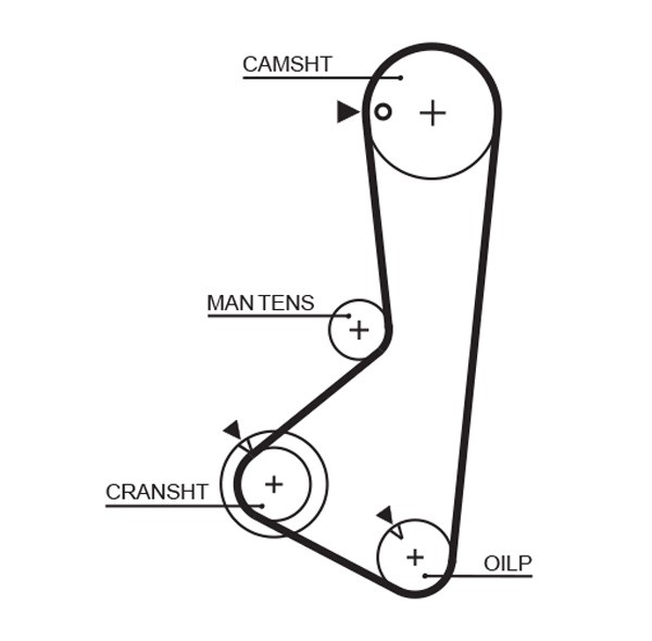 GATES-OE 5256XS Timing Belt for HYUNDAI,MITSUBISHI