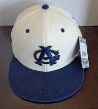 CHICAGO AMERICAN GIANTS NEGRO LEAGUE IVORY HAT EBBETS FIELD FLANNELS 7 3/8