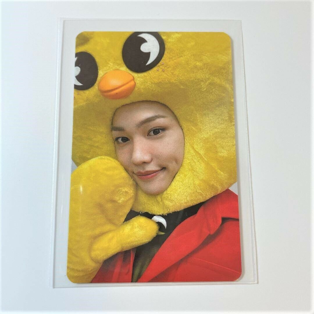 Stray kids NOEASY Soundwave Official Photocard Photo card PC Stray kids NOEASY Soundwave Official Photocard Photo card PC