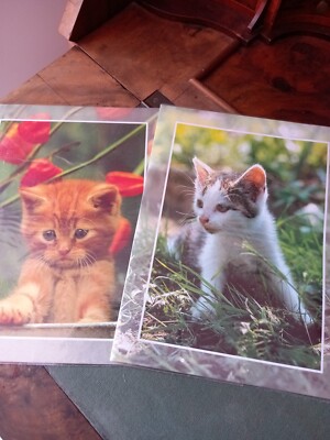 2 x Briefpapier mit Katzenmotiven 2x10 Blatt und 2x10 Umschläge