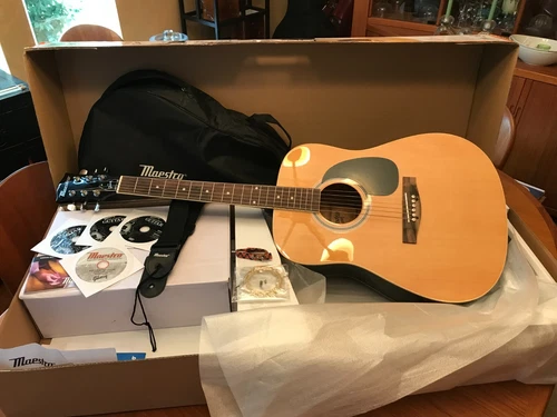  Gibson Maestro Acoustic Standard Guitar Kit with Case & Educational Materials