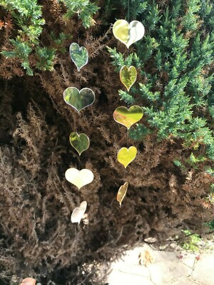 Zwei Spiegel Herz Sonnenfänger Garten hängend große Spiegel magische Reflexionen