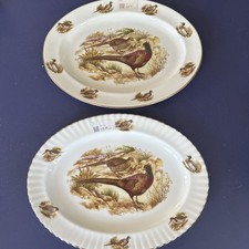 Two 41 cm wide serving plates