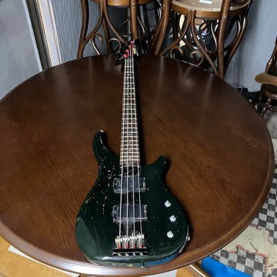 Fernandes Electric Bass Soft Case Included