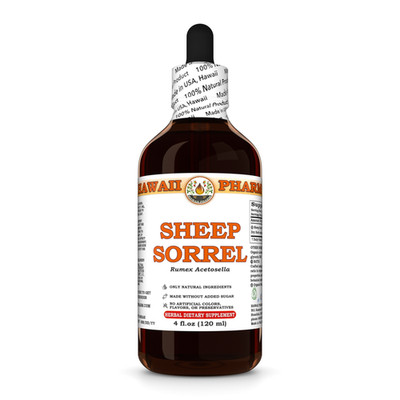 Sheep Sorrel (Rumex Acetosella) Dried Herb Liquid Herbal Extract