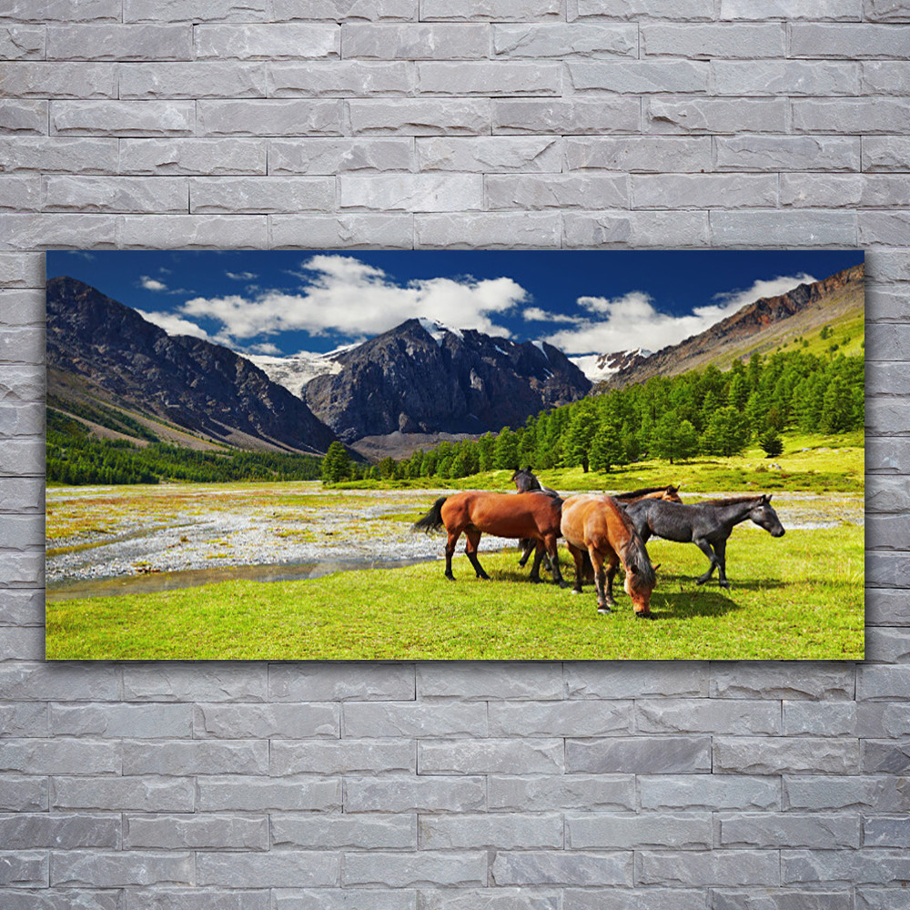 Tableau Sur Verre Trempé Tulup 60x120 - Portrait De Cheval (Moderne, Brun)