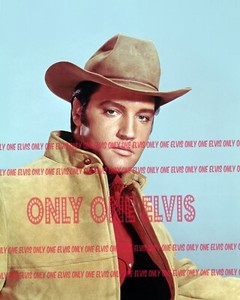 Elvis Presley Stay Away Joe | eBay