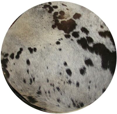 Testa Di Mucca Per Tamburo Di Sciamano - Pelle Di Mucca Depilata Spessa