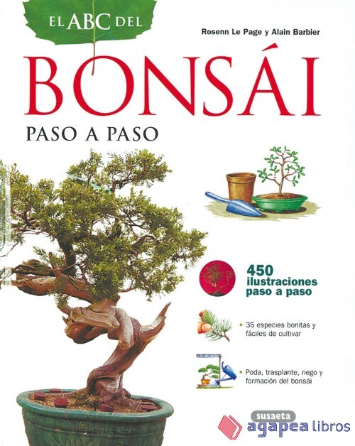 Imagen 1 de 1