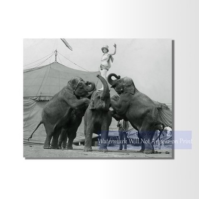 Vintage 1930s Circus Performer on Elephant Photo Print - Giclee Fine Art Print