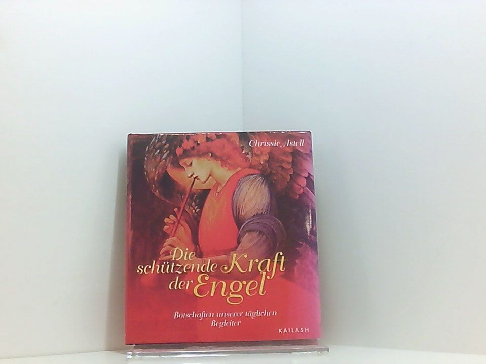 Die schützende Kraft der Engel: Botschaften unserer täglichen Begleiter Botschaf