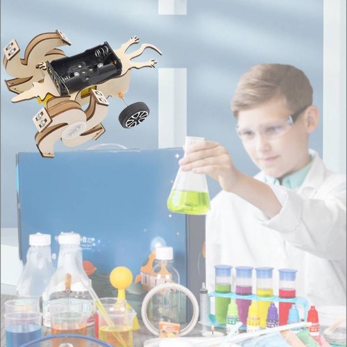 Lizard Experiment Children's Diy Electric Lizard Science Experiment Educational Toy For ...