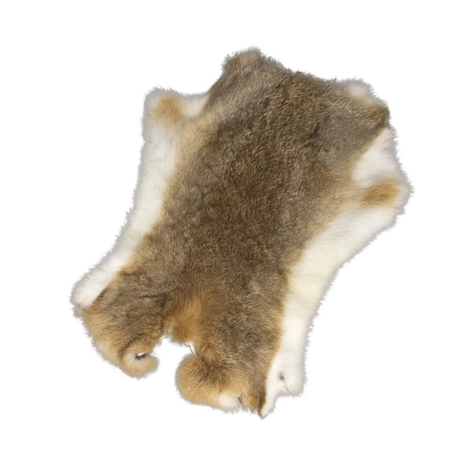 großes Hasenfell ca. 50 x 30 cm Kaninchenfell XL Fell Hase Mittelalter Larp - Bild 3 von 4