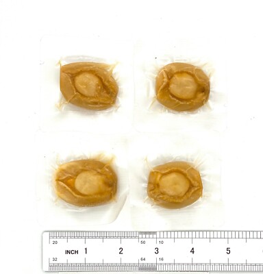 Greenlike Ready to Eat Dried Abalone Snack 即食鲍鱼 零食 鲍鱼 