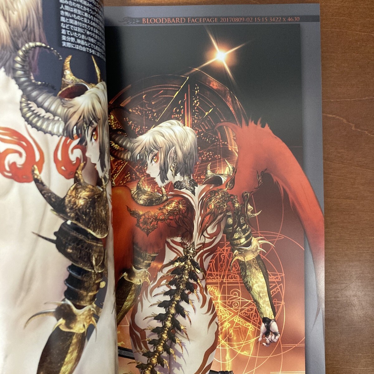 Intron depot 10 BLOODBARD Masamune Shirow Art Book Illustration | eBay