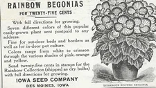 1915 des moines IOWA seed store plant nursery postcard advertises BEGONIAS sale