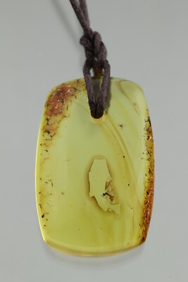 Fossil WINGED ANT Genuine BALTIC AMBER String Pendant Unisex 4.4g 211006-3