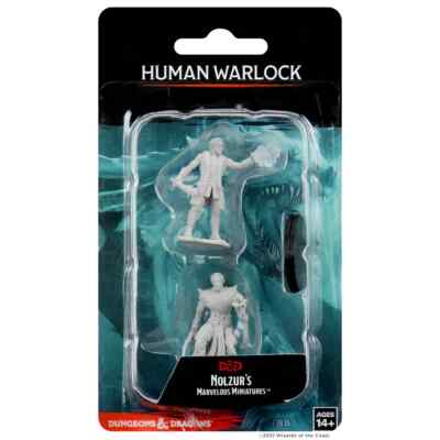 DUNGEONS & DRACHEN WUNDERBARE MINIATUREN ~ MÄNNLICHER MENSCHLICHER WARLOCK
