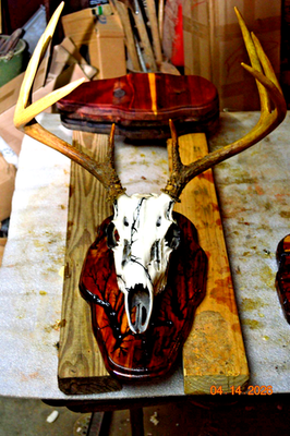 #ad #ad Lichtenberg Fractal Burn European Deer Mount Plaque cedar board only $55.00