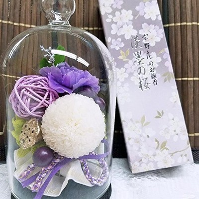 New Shien & Incense Stick Set Preserved Flower Cork Glass Dome Compact (Shien &