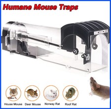 Motel Mouse - The Humane Mouse Trap for Indoors - Easy to Use 22.5*8.5cm
