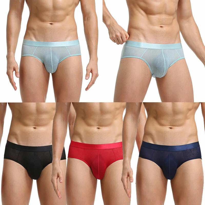 Mens Transparent Ice Silk Briefs Shorts Low-Waist Underpants Knickers  Underwear