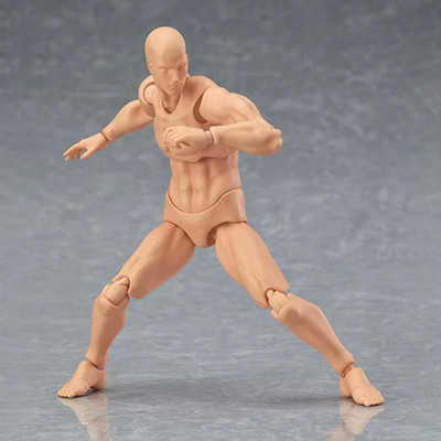 Sketch Draw Body Kun Body Chan Actionfigur Archetyp He She Ferrit Sammlerstück