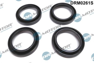 Dr.Motor Automotive DRM0261S Dichtung, Düsenhalter for MAZDA