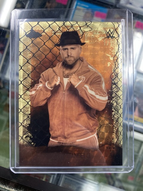 1/1 Topps WWE x Cactus Jack Tony D’Angelo NXT Gold Vinyl Superfractor