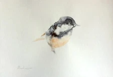 Coal Tit, Birds, Watercolor artwork, Handmade, Original painting on paper