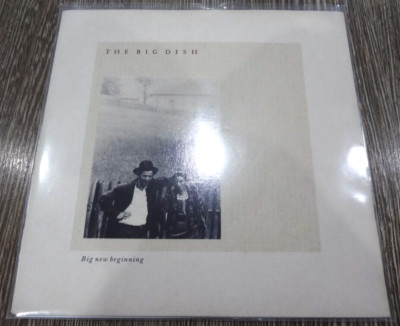 The Big Dish - Big New Beginning - 7'' Vinyl Single