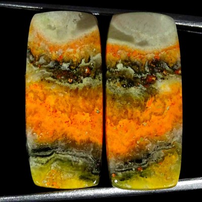 22.40Cts Natural Bumble Bee Jasper Pair Cushion Cabochon Loose Gemstone