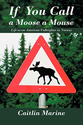 If You Call a Moose a Mouse: Life as an American Fulbri - Paperback / softback N