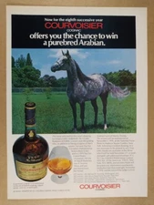 1976 Courvoisier Cognac Win a Purebred Arabian Horse Contest vintage print Ad