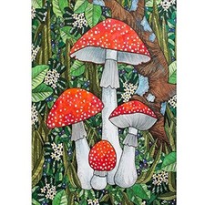 Diamond Painting Kits for Adults 5D DIY Diamond Art Craft Paint with Full