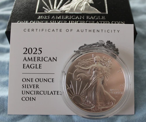 2025-W 1 oz Burnished American Silver Eagle Coin Lowest minted-SOLD OUT!