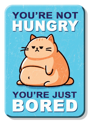 YOU'RE NOT HUNGRY YOU'RE JUST BORED MAGNET 2.5  X 3.5  ROUNDED CORNERS