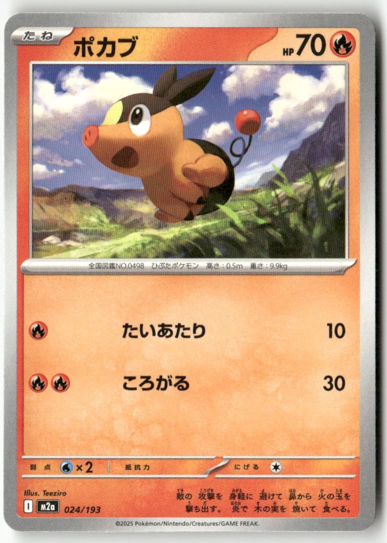 Tepig 024/193 MEGA Dream ex Pokemon Japanese Lightly Played