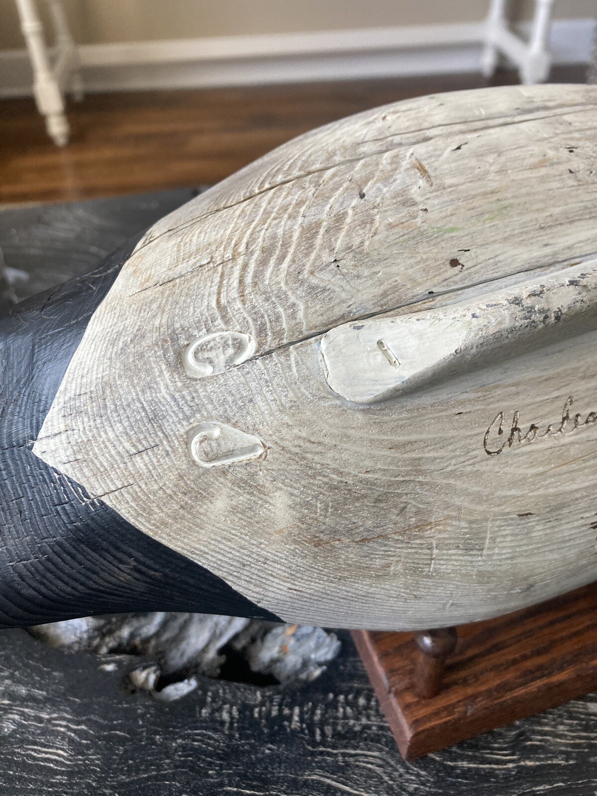 Charles Jobes Drake Pintail Havre De Grace Maryland Eastern Shore Duck