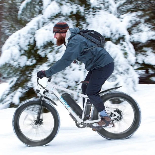 E bike for winter commuting hot sale