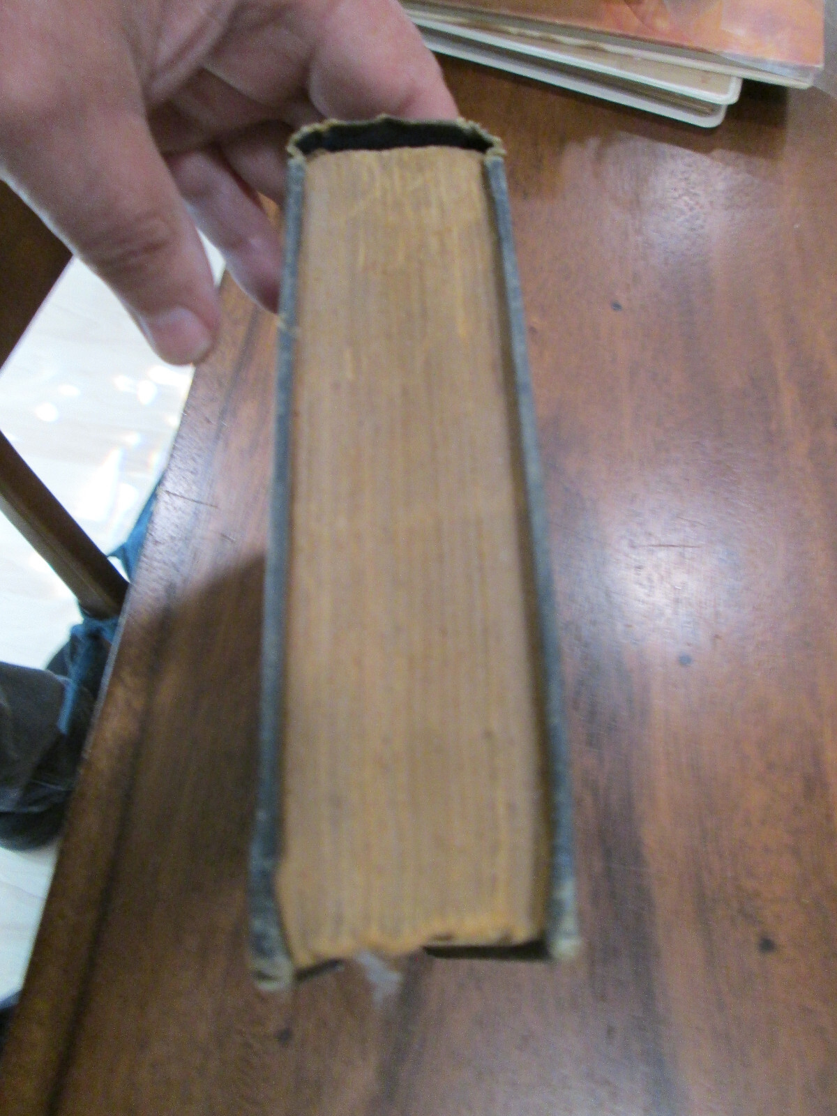 Picture 5 of 5