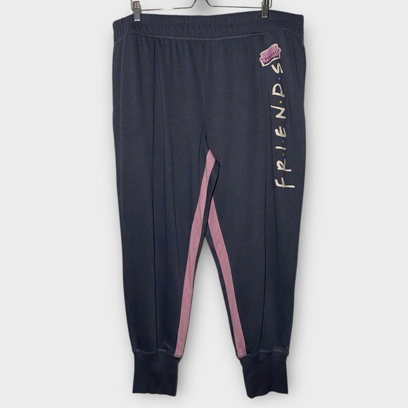 FRIENDS Grey Pink Pivot Jogger Sleep Pajama Pants Size 2X