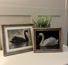 Vintage Classic Swan Wall Art - Country Home  - Set Of 2 A4 Prints Only