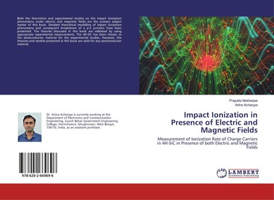 Impact Ionization in Presence of Electric and Magnetic Fields | Englisch | Buch