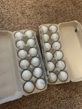 2 dozen Kirkland golf balls