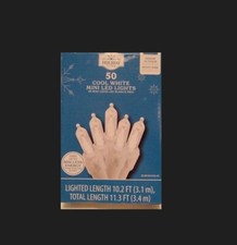 Holiday Time 50-Count Cool White LED Mini Christmas Lights, with White Wire