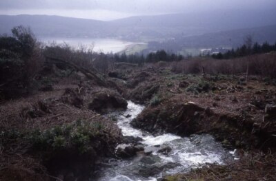 Photo 6x4 Stream above Brodick Castle Cladach Affording a good view acros c1989