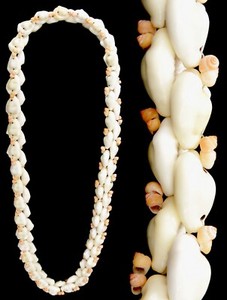 Polynesian Hawaiian Cowrie Shell Lei Necklace Hawaii Wedding Tiki Luau 18" Drop
