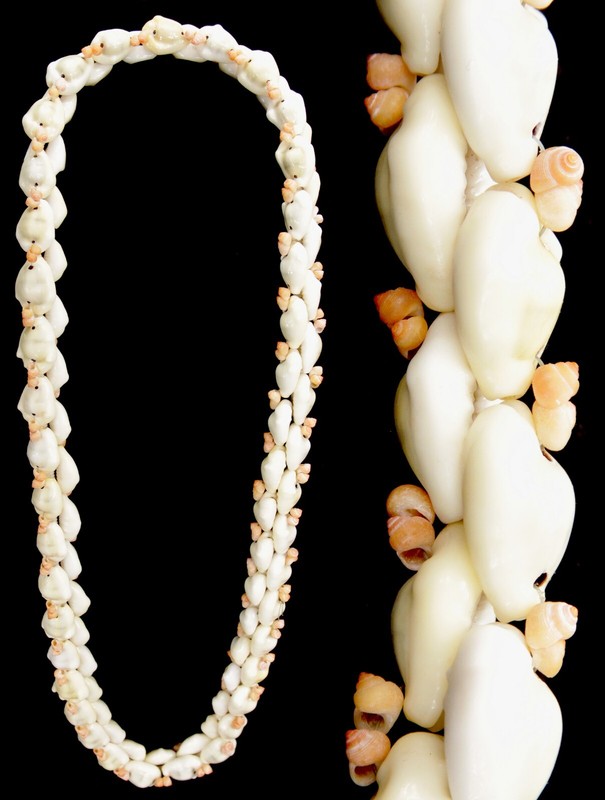 Polynesian Hawaiian Cowrie Shell Lei Necklace Hawaii Wedding Tiki Luau 18" Drop