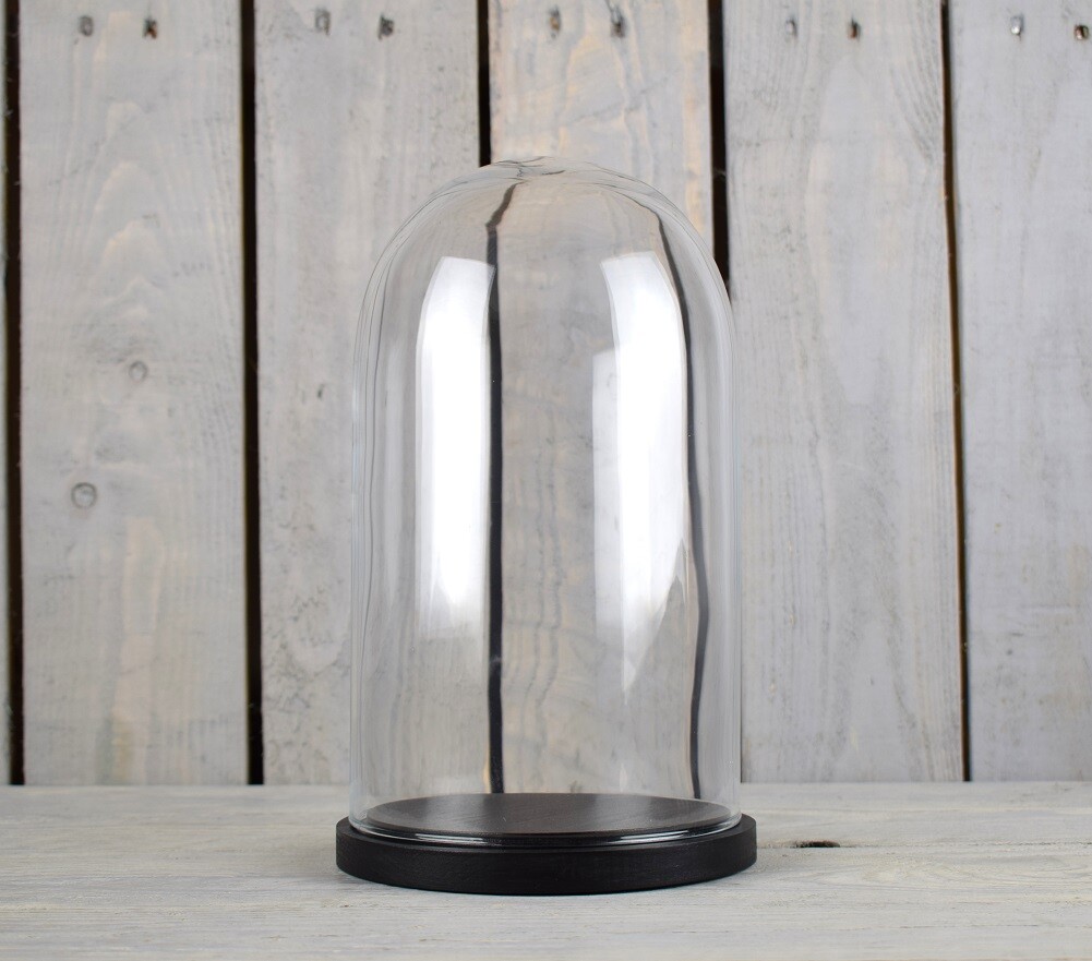 Small Glass Dome Display Cover Cloche Black Base Height 26 x 15 cm